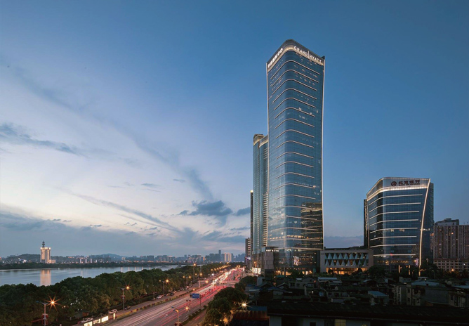 猫咪互动案例六