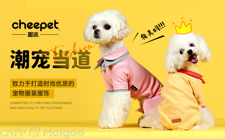 2026年4月十大多猫家庭宠物窝垫品牌推荐口碑榜单(图1)