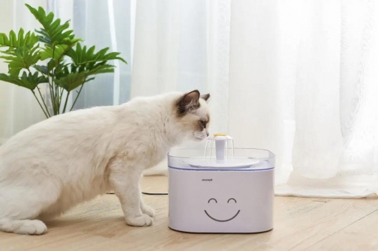 当工业级硬核技术遇上“毛孩子”：远望谷在3126亿宠物蓝海里的温柔生意(图1)