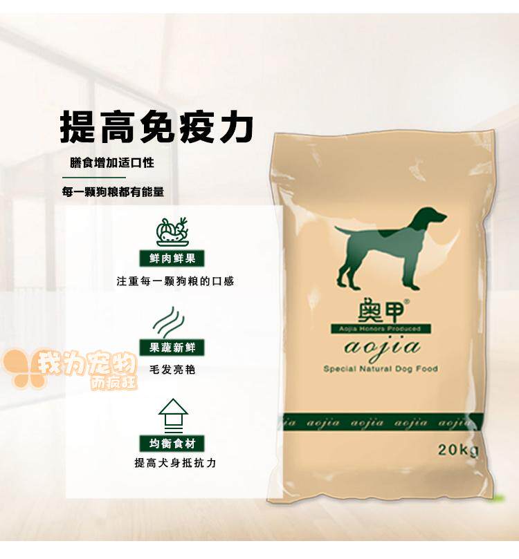 十年匠心成就行业典范：圣宠宠物打造宠物服务新生态(图1)