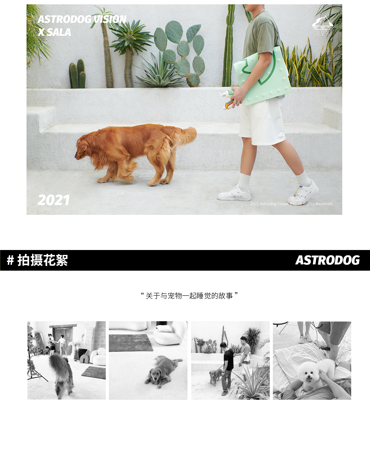 宠物用品市场规模与竞争格局分析（30页报告）(图1)