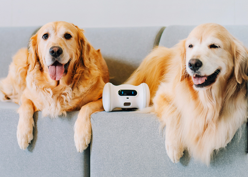 5月上海人宠营养科技链接大会更新日程(图1)