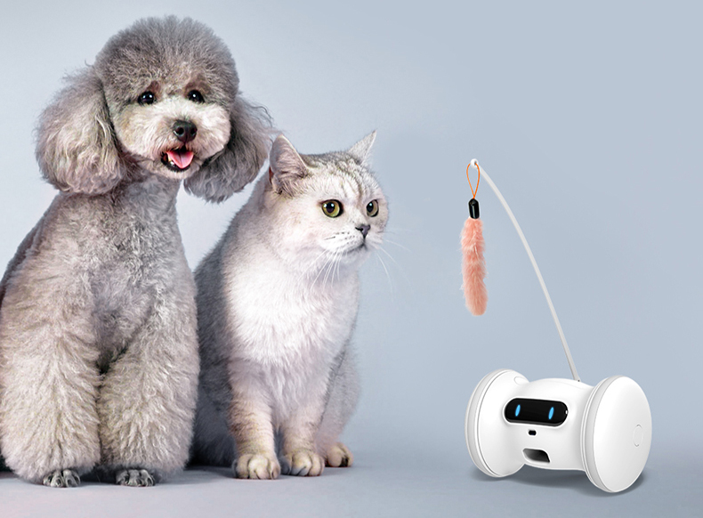 波奇宠物（BQUS）4月20日收盘报076美元股跌066%(图1)