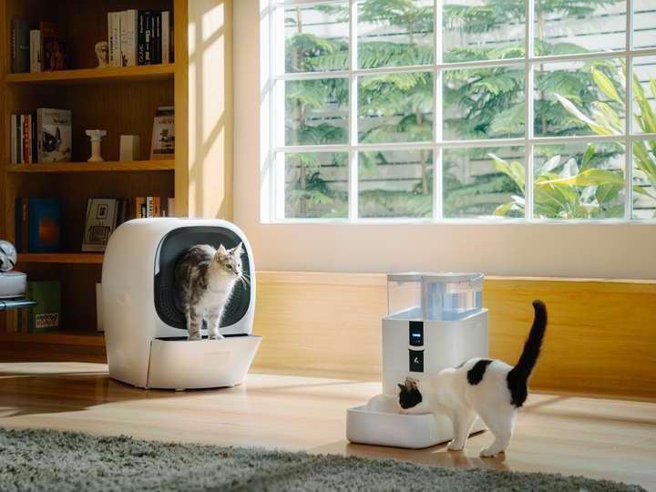 贝仕达克跌164%成交额312982万元后市是否有机会？(图1)