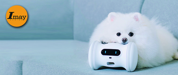 毛绒绒的AI智能宠物正在海外流行(图1)