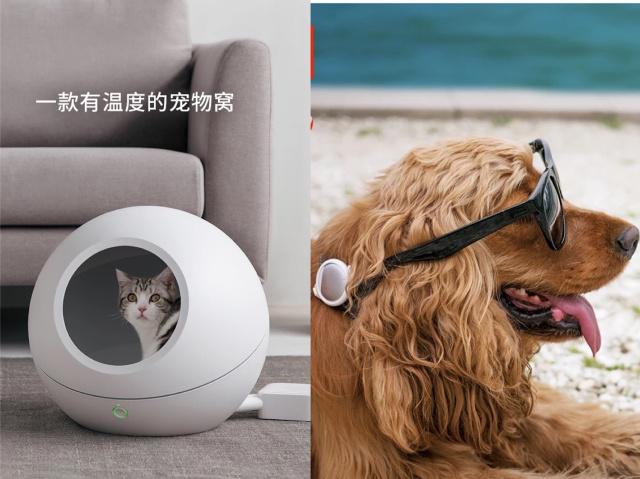 宝乐机器人(图1)