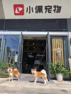 穿越之情劫游戏