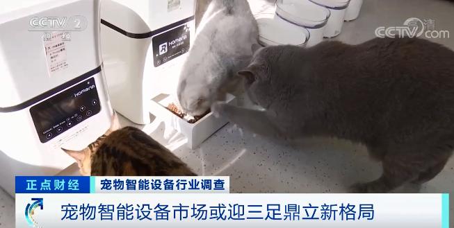 宠物美容用具(图1)
