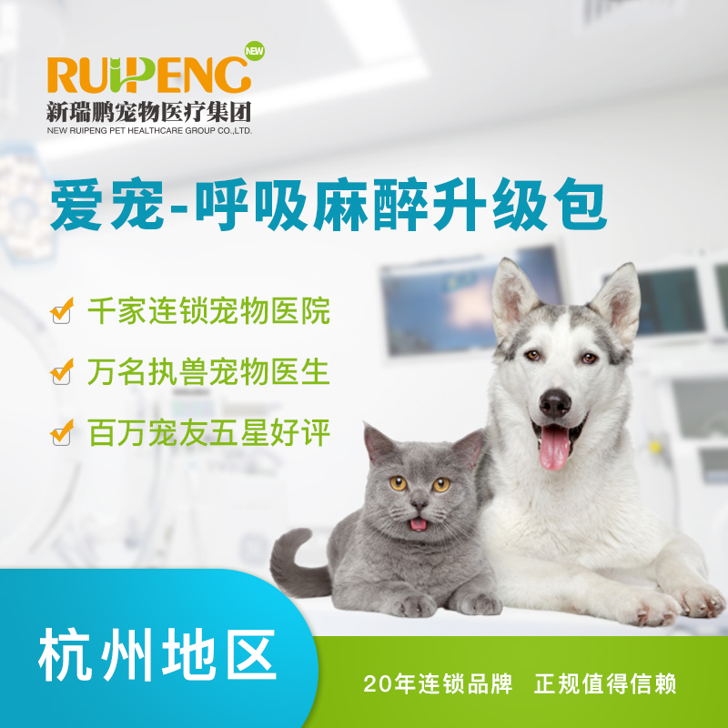 广州云硕汇通科技有限公司：以即时零售为核心打造24小时宠物用品新零售服务体系(图1)