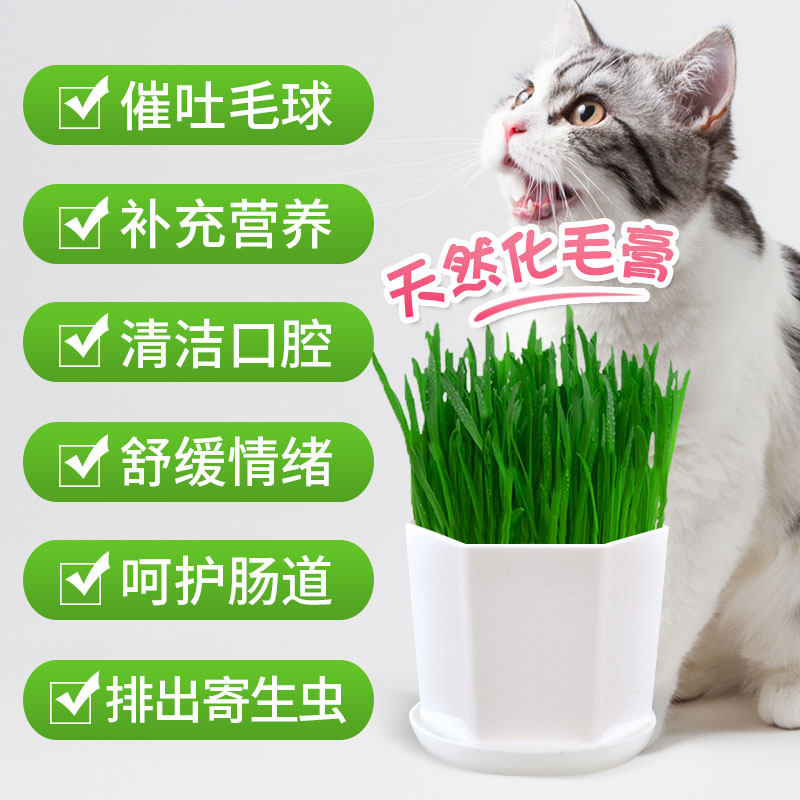 超级精灵球无限内购(图1)