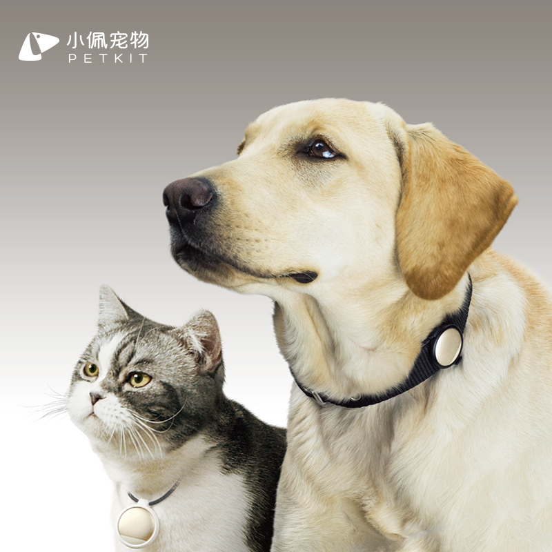 创源股份:锦福品牌与知名景区合作IP文创携手天络行等伙伴智能玩具完成市场测试(图1)