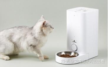 半年出口224亿!中研普华深度拆解：国产宠物用品凭什么全球抢单(图1)